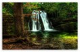 /album/wallpapers/waterfall-forest-2-t2-jpg/